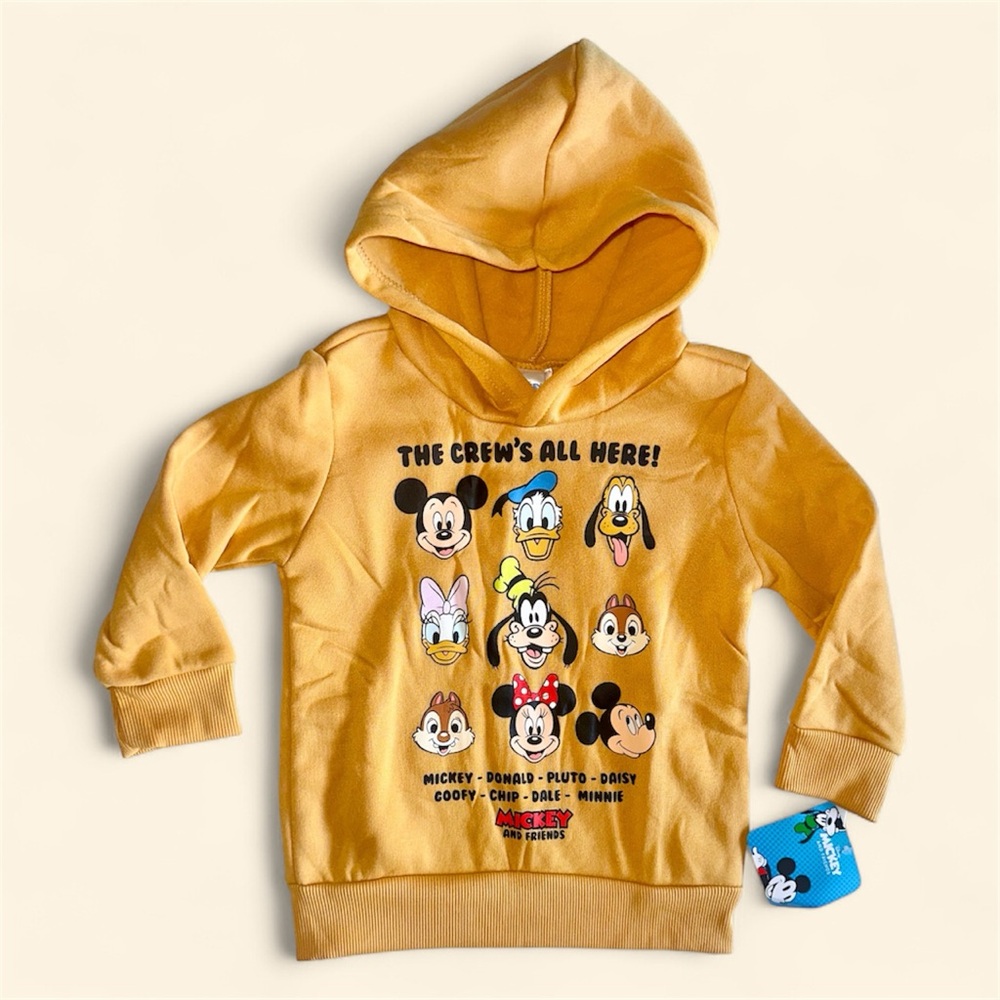New Toddler Disney Hoodie